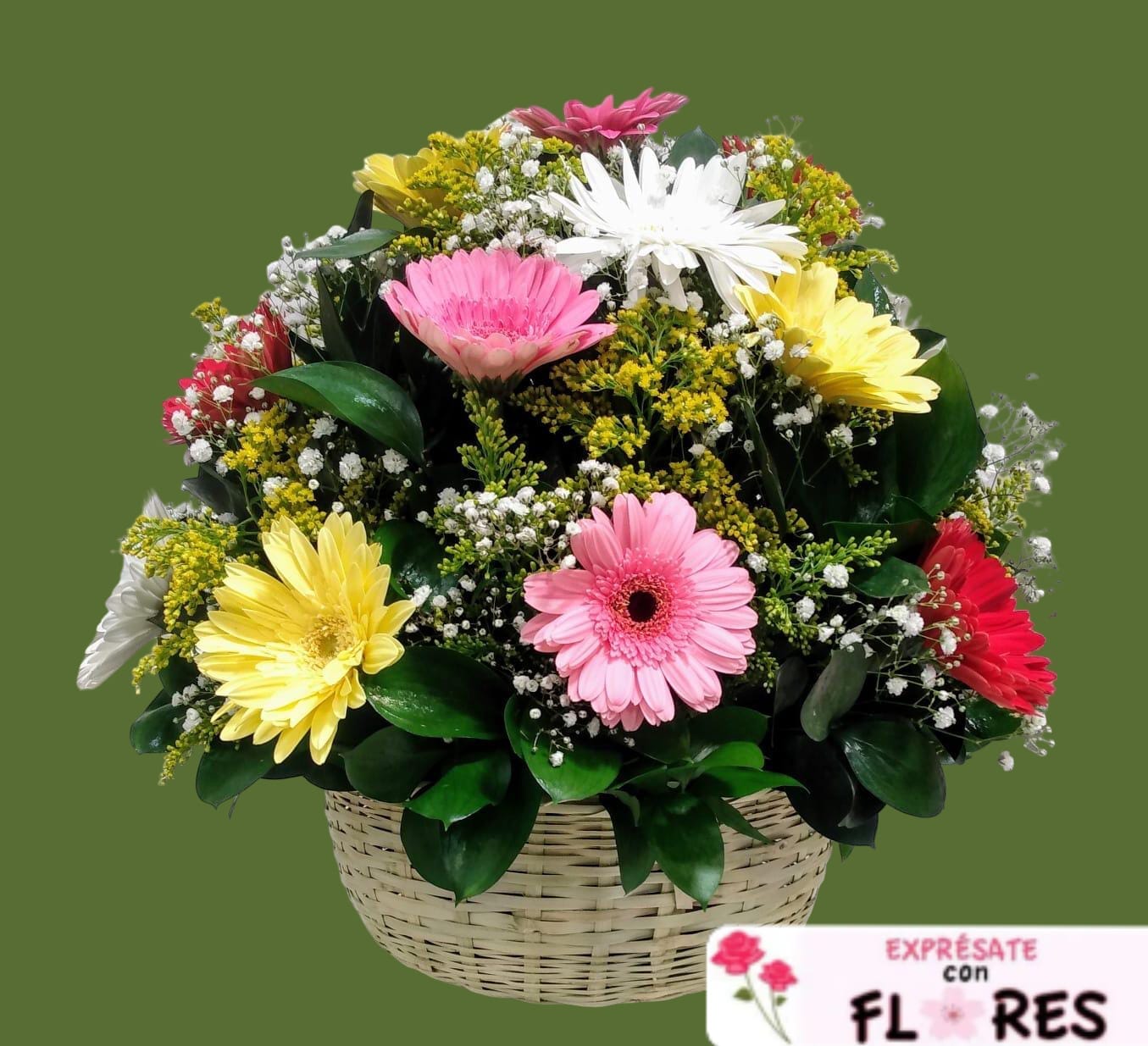 ENCANTO PRIMAVERAL