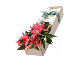 Producto flores FUCSIA