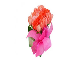 Flores CANDY