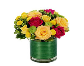 Flores GREEN