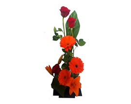 Producto flores RED