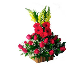 Flores ANGEL