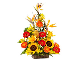 Producto flores RESPLANDOR