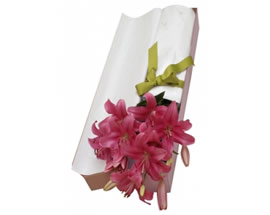 Producto flores LUZ DEL SOL