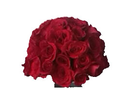Flores FANTASTICO