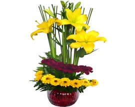 Flores MAMBO