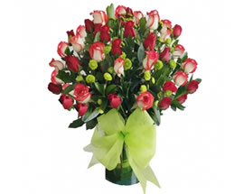 Producto flores GENIAL