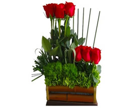 Flores FRAGIL