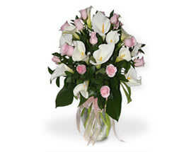 Flores PUREZA