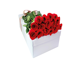 Flores CONFIDENTE