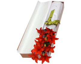 Producto flores AMAZON